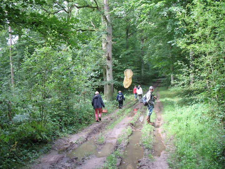 2011 07 Sortie bonus les Plainvaux 05